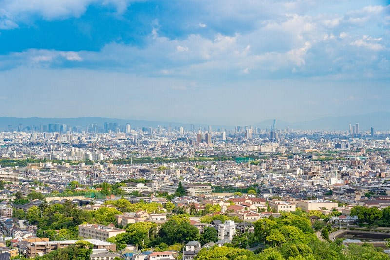 代表